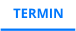 TERMIN