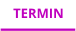 TERMIN
